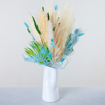 Pisces